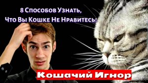 Кошачий Игнор: 8 Признаков Холодного Сердца!