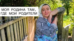 БЫКИ, НЕ КОРОВЫ. К НИМ ДРУГОЕ ОТНОШЕНИЕ. Орловская обл; пос. Дьячковский; Новодеревеньковский район