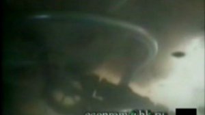 Подводные цацки (1)