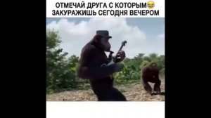 СМЕШНОЙ ЮМОР СБОРНИК ПРИКОЛОВ / НАРЕЗКА СМЕШНОГО ВИДЕО / ЛУЧШИЕ СМЕШНЫЕ ВИДЕО ОНЛАЙН БЕСПЛАТНО