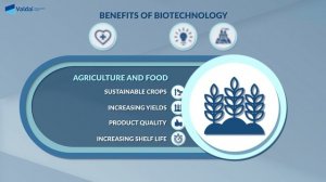 Videoinfographic: Biotechnology