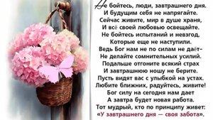 Мой завтрак. Биробиджан. сентября 2025г