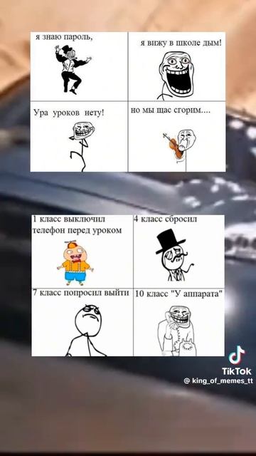мемы