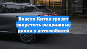 Власти Китая грозят запретить выдвижные ручки у автомобилей