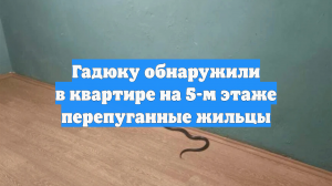 Гадюку обнаружили в квартире на 5-м этаже перепуганные жильцы