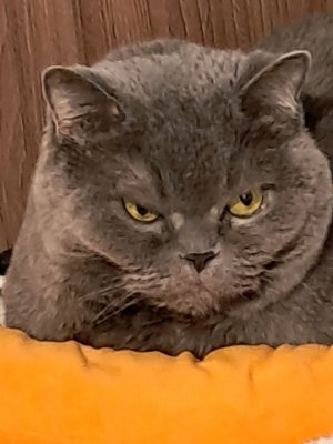 играем в фортзон