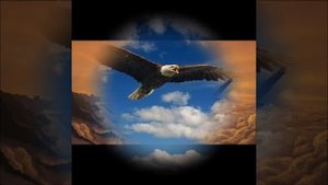 Быстрым орлом я хотел бы летать