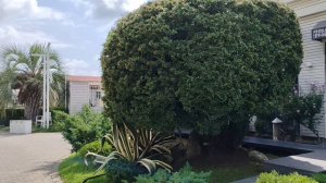 Сочи пляж 🏖️ Маяк... Набережная в сентябре...