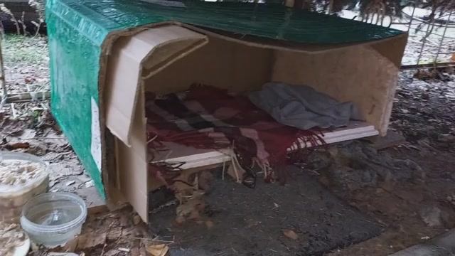 Собачья жизнь в Ахтарях..mp4 смотреть онлайн