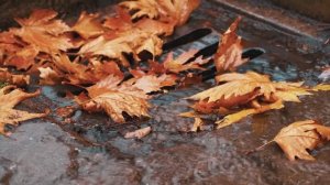 Водоканал ОСК Иваново