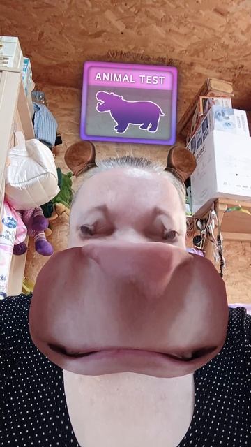 Багамотик. смотреть онлайн