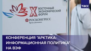 Конференция "Арктика: информационная политика" на ВЭФ