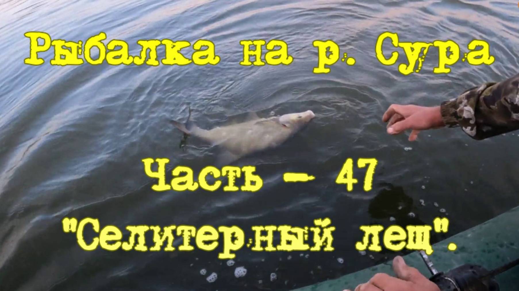 Рыбалка на р. Сура. Часть - 47. "Селитерный лещ".