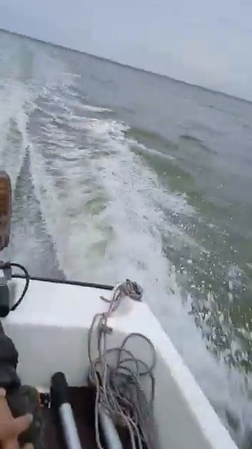 Отзыв на лодочный мотор Mikatsu M9.9FHS смотреть онлайн