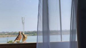 10.07.25. САКИ 5.09.25