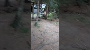 Махар. Обзор базы у Беляла