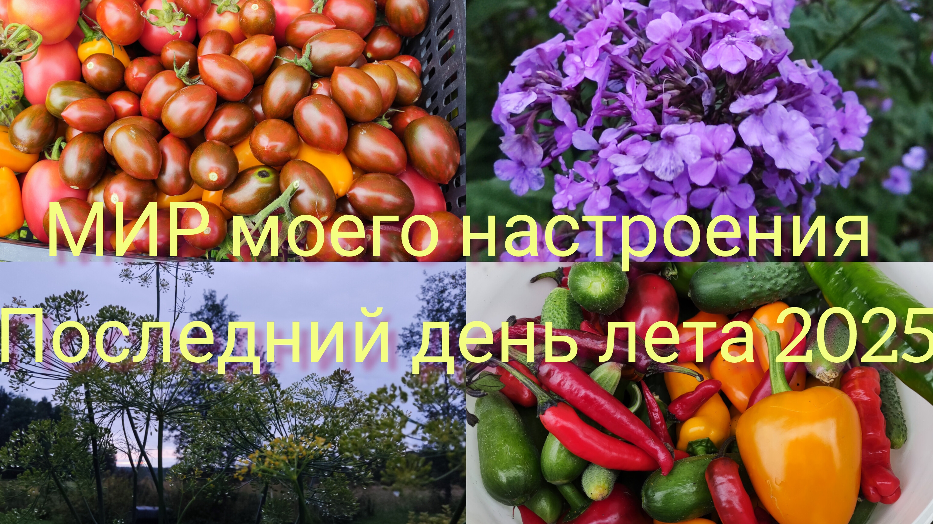 31.08.25 Последний день Лета 2025.Две дачи в один день.