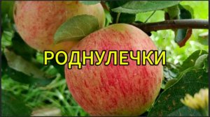 Роднулечки