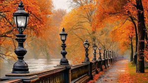 Телеман Г. Ф. Violin Concerto. Oboe Concerto. TWV 51 / G. Ph. Telemann