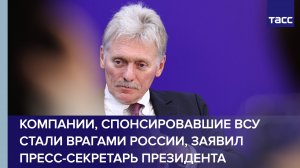Россия считает врагами западные компании, финансировавшие ВСУ