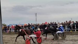 В Троицке состоялись конные соревнования