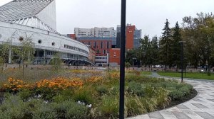 VID_20250904_084315 Сквер у "Глобуса".