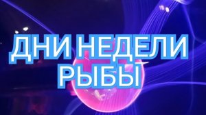 ✅️✅️✅️ТАРО ДНЕЙ С 08.09.2025 по 12.09.2025 года НЕДЕЛИ✅️✅️✅️ЗНАК 📩📩📩РЫБЫ📩📩📩