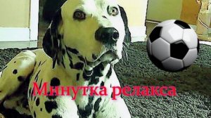 Бойкий Васька.