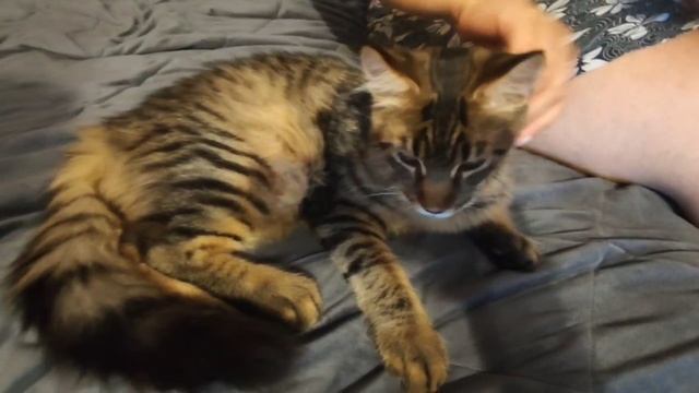 video_2025-09-06_18-00-25