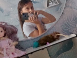 Руси -гуси
