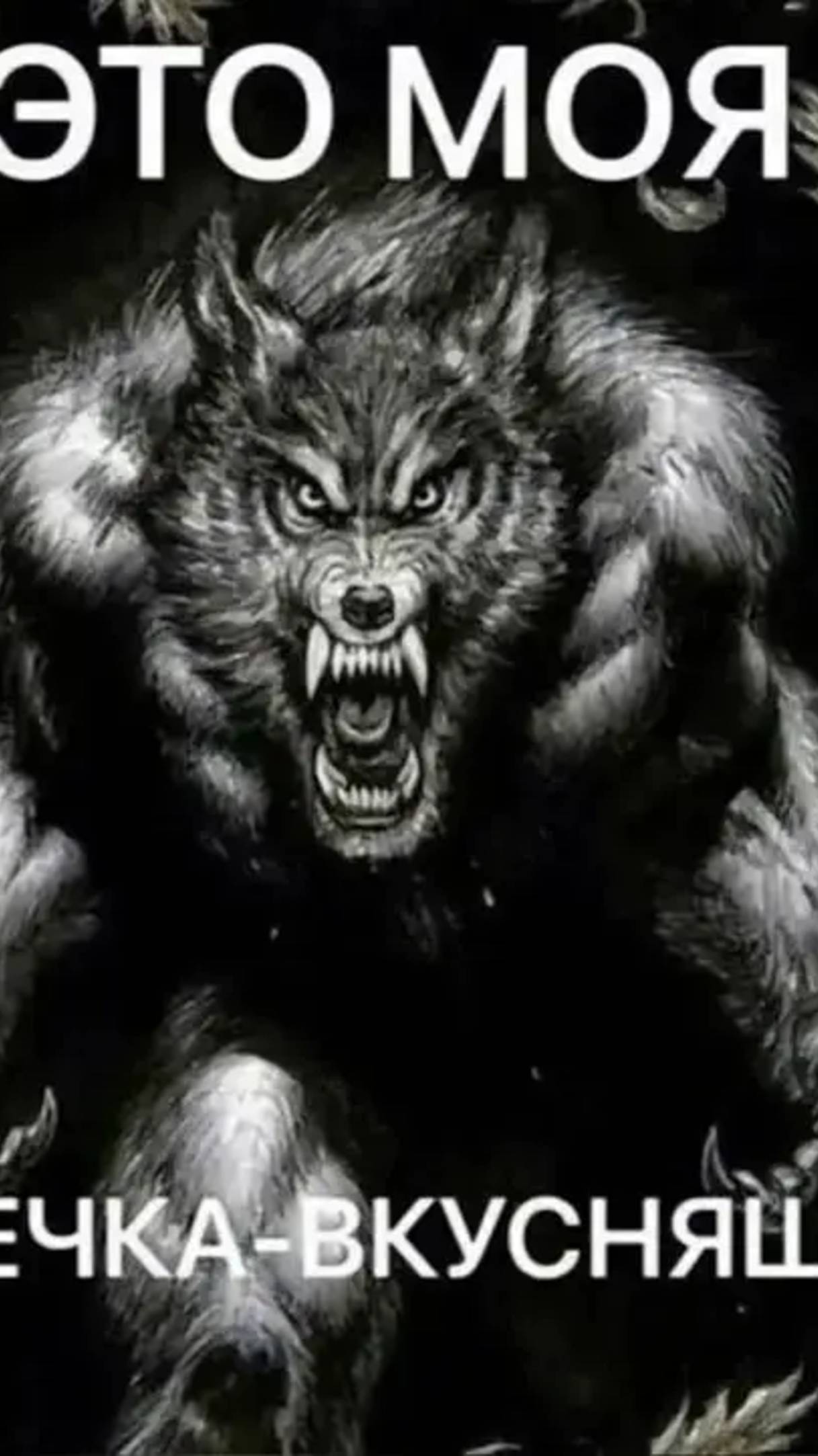 Хотела добавить поняшку но мне стало лень рисовать👆👆👆 (опис)