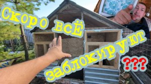 Скоро всё заблокируют !???# Урожай не уродился # Курятник МЕЧТА# Дверь и колхозник# БЫТЬ ДОБРУ!!!!!
