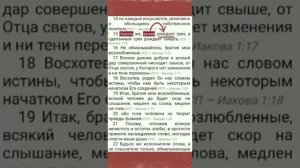 похоть зачав рождает грех