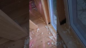 1000033883.mp4 (Собака наблюдает за устройством откосов у оконных проёмов в доме А-фрейм)