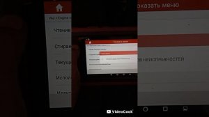 Калина после замены порогов