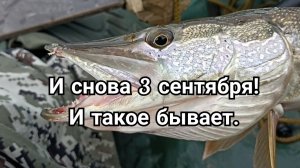 И снова 3 сентября! И такое бывает.