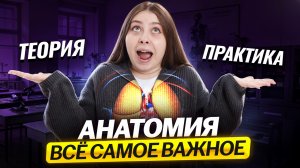 Анатомия: самое важное для ЕГЭ по биологии | Умскул