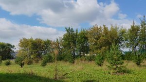 Солнечный сентябрь в деревне, деревенская атмосфера