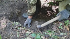 ХОРОШИЙ КОЛУН НАШЕЛ. Коп по ЧЖУРДЖЭНЯМ, ГОЛЬДАМ в Приморском крае.