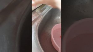 ДРУЖБА НАВЕСЬ МИР