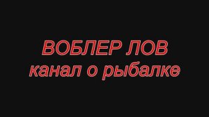 Не рыбалка а окуневое сумашествие.