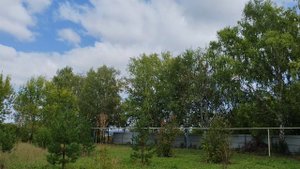 06-09-2025 гуляем по деревне, деревенская жизнь