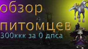 Обзор новых питомцев сумонера на 120 уровне\стоят они 300ккк?\lineage 2 Main