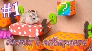 Хомяк в лабиринте (1 серия)