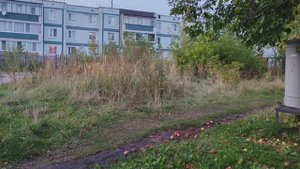 вечер субботы в деревне, прогулка по деревне