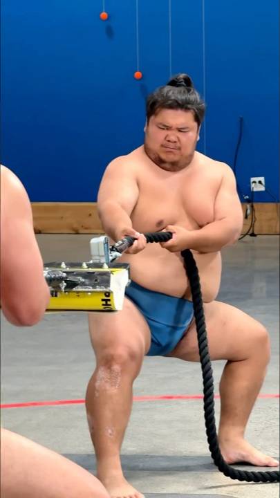 Борцы сумо против телефонных книг (Марк Робер НАСА | Mark Rober NASA) смотреть онлайн