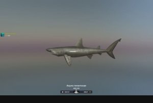 Гигантская 4925