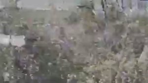 Война дронов №121. Уничтожение пункта управления БПЛА ВСУ.