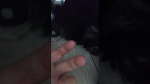 Ричи и дракон