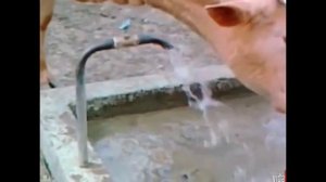 ПРИКОЛЫ ВИДЕО СМОТРЕТЬ БЕСПЛАТНО БЕЗ РЕГИСТРАЦИИ РАЗНЫЕ / ПРИКОЛЫ ВИДЕО СМОТРЕТЬ БЕСПЛАТНО